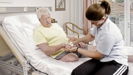 מידע לקטוע החדש