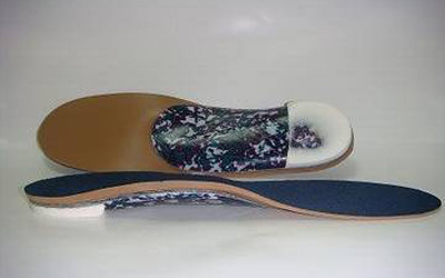 מדרסים ביו מכניים