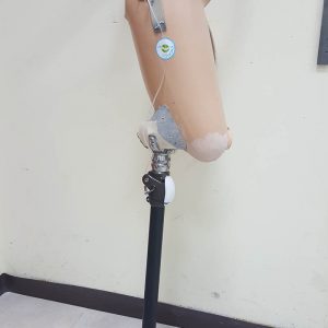 תותבת רגל עם קונטקטורה