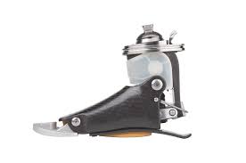 כף רגל מרידיום