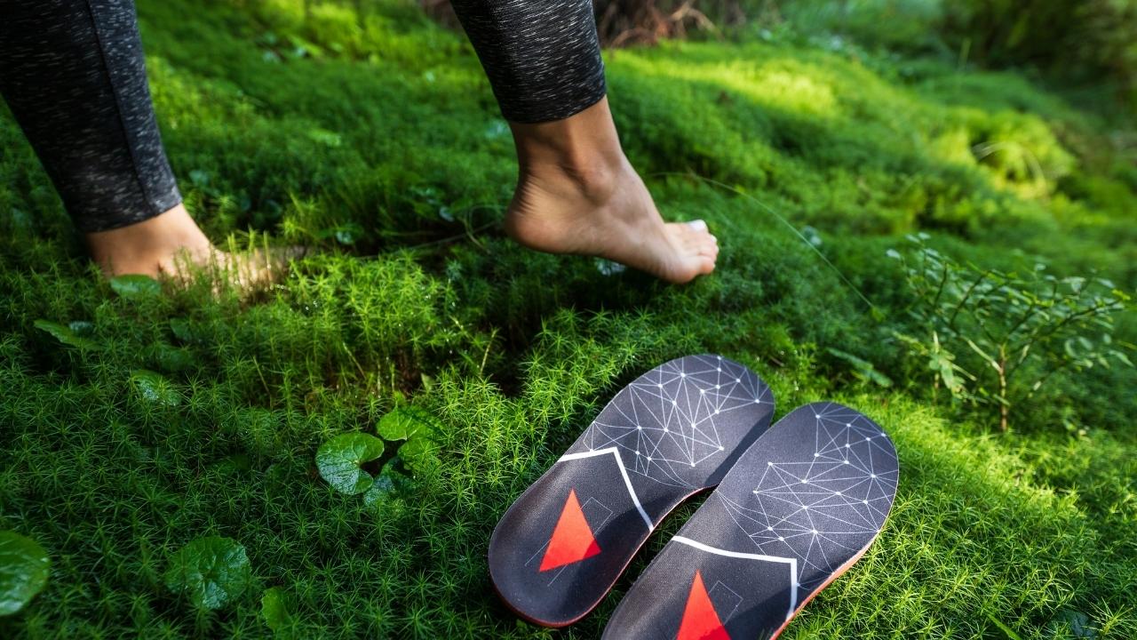 מדרסים ביו מכניים